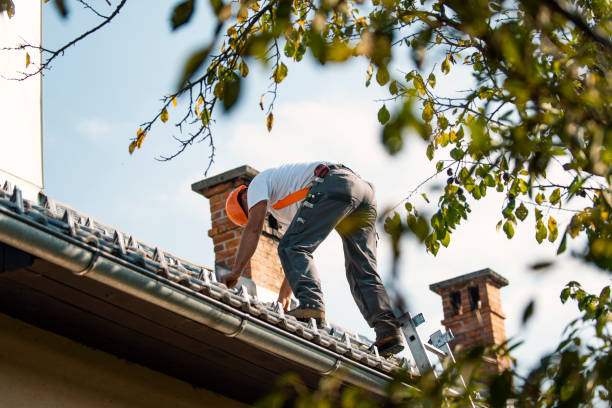 Best Roof Repair Estimates  in Reese, MI
