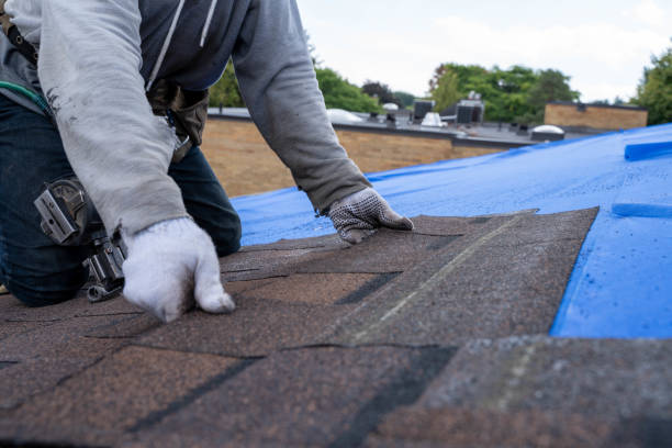 Best Roof Repair Services  in Reese, MI