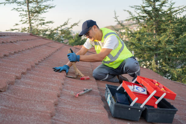 Best Roof Repair Services  in Reese, MI