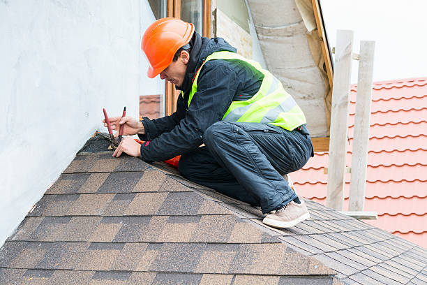 Best Local Roofing Companies  in Reese, MI
